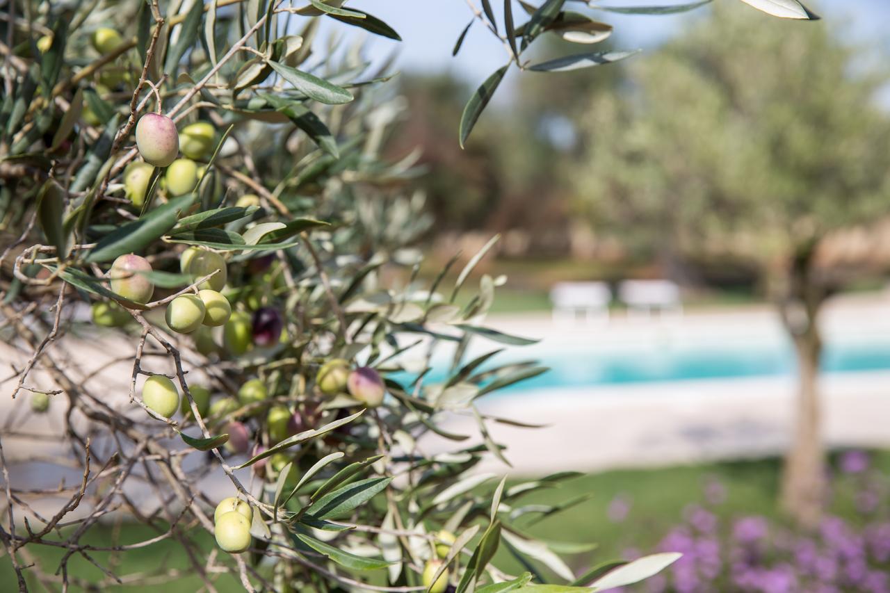 Masseria Saietti Ruffano Εξωτερικό φωτογραφία